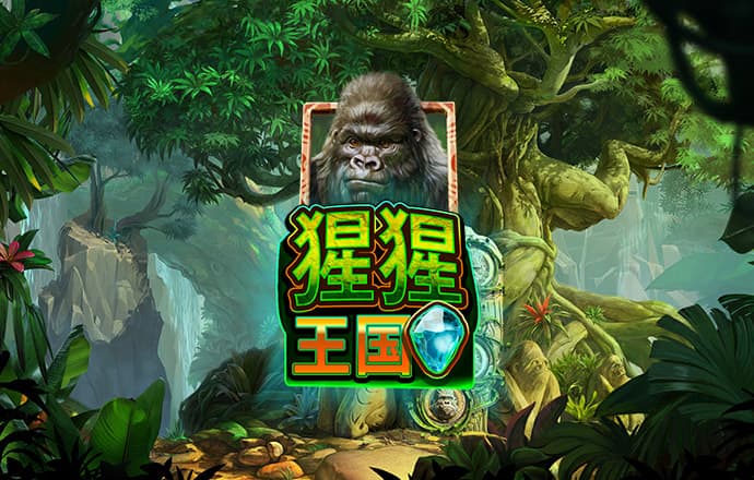 035娱乐版本更新时间